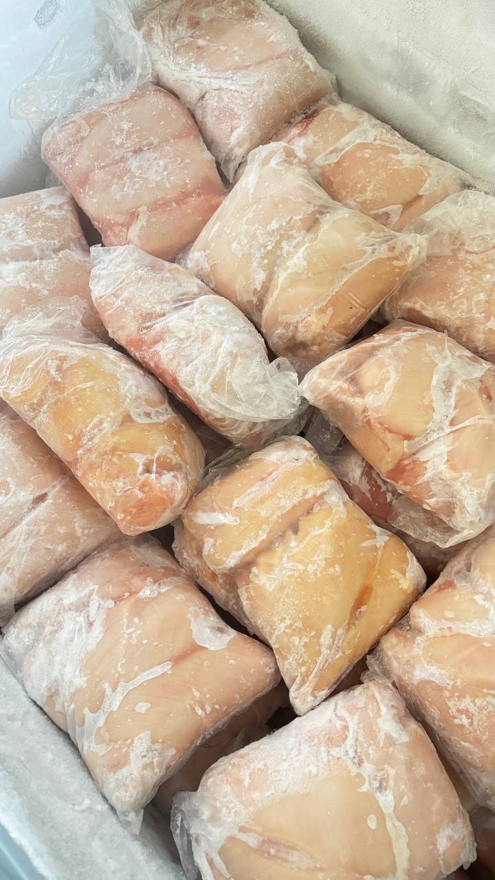 Daging Ayam Frozen: Nilai Gizi, Keamanan Pangan, dan Cara Penyimpanan yang Benar