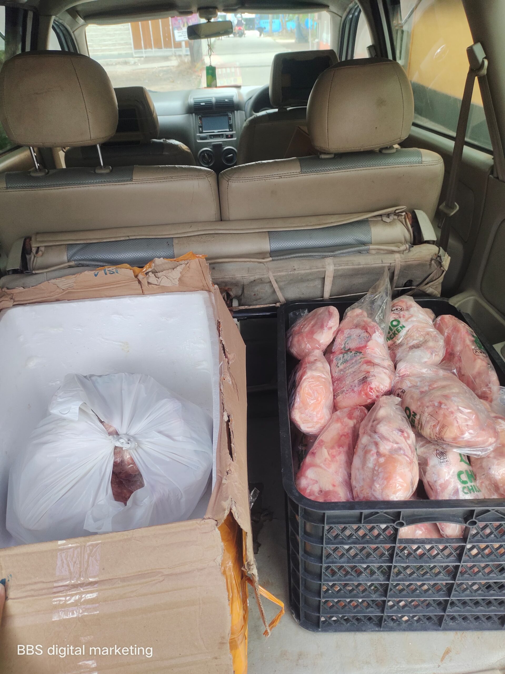 Distributor Ayam Frozen Jakarta Utara: Solusi Pasokan untuk Kawasan Pelabuhan dan Industri